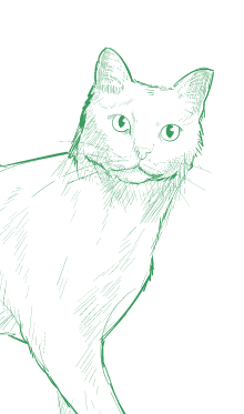 Catsitter