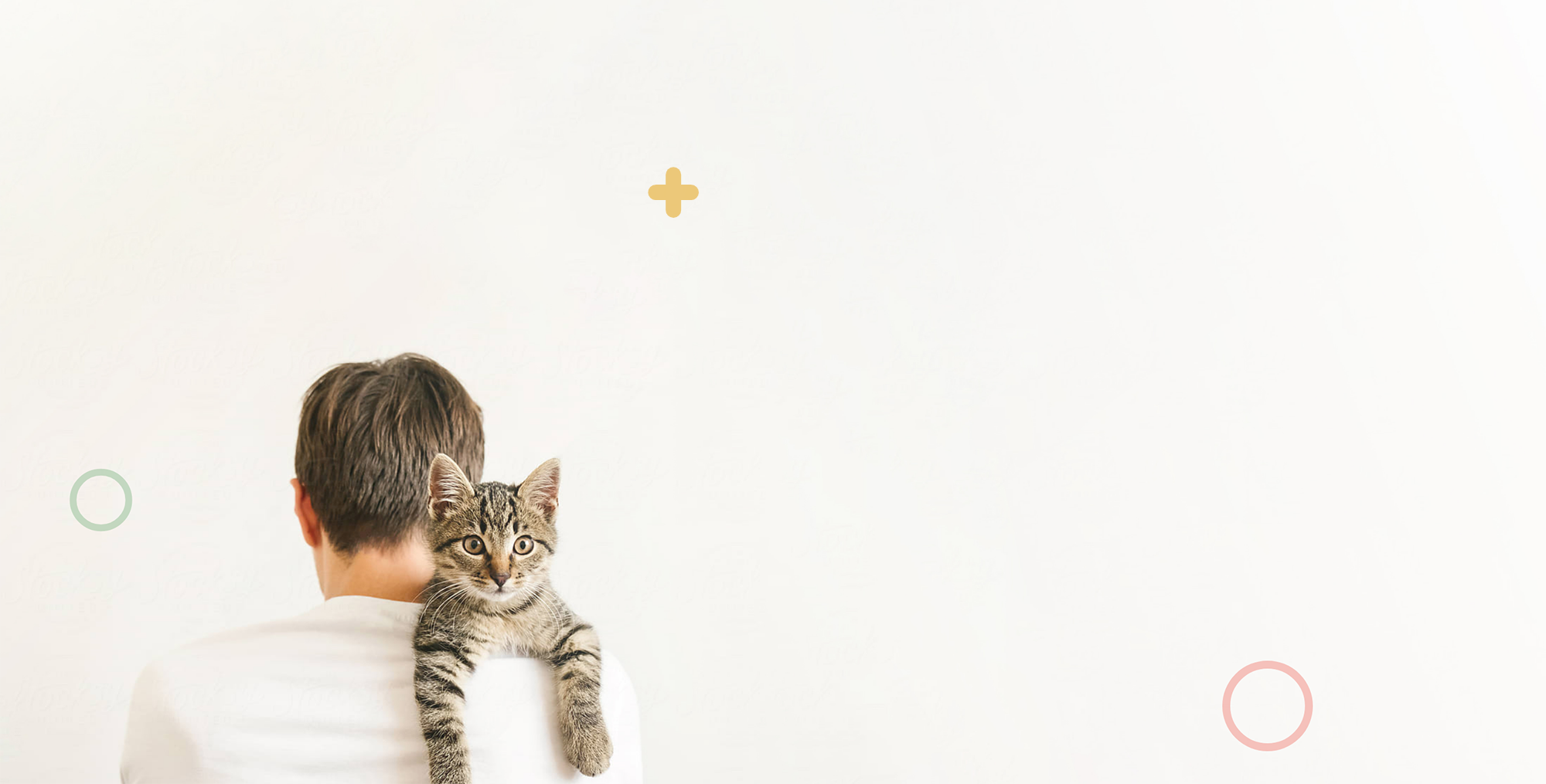 Catsitter